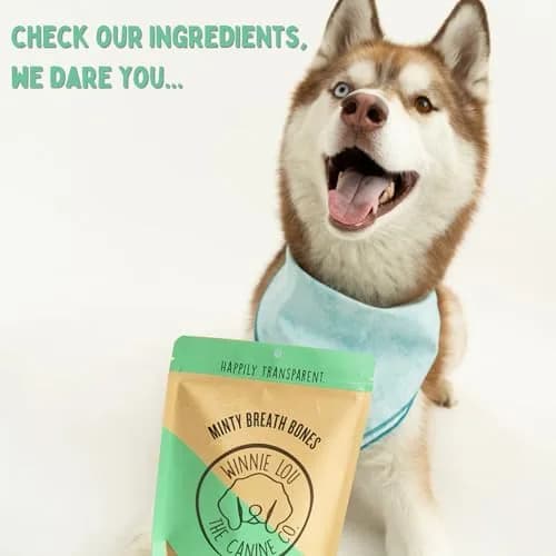 Winnie Lou The Canine Co. Mint Breath Bones 4 Oz | Organic Dog Treats for Fresh Breath thumbnail 8
