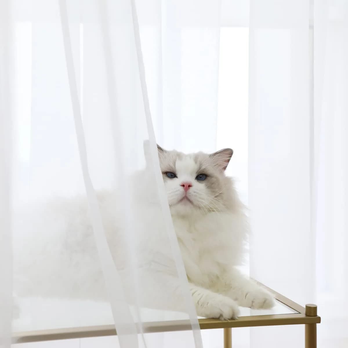 PHILEASY White Sheer Curtains 45 Inches Long - 2 Panels (52"W x 45"L) - view 2