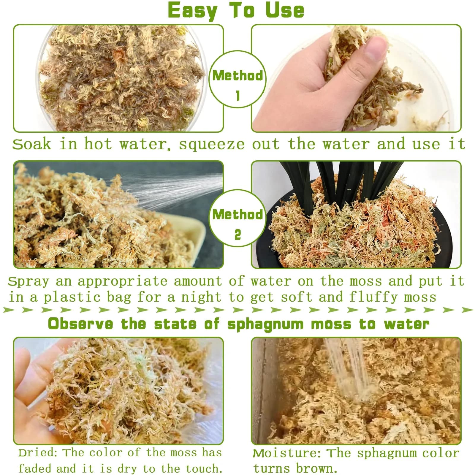 Legigo 8 QT (7 oz) Premium Sphagnum Moss - Natural Long Fiber for Orchids & Succulents - view 4