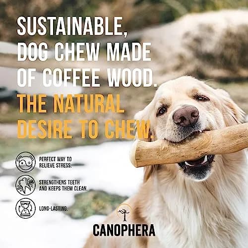 Canophera Coffee Wood Dog Chew Sticks for Regular Chewers - Size XS | Natural Stress Relief & Dental Care thumbnail 2
