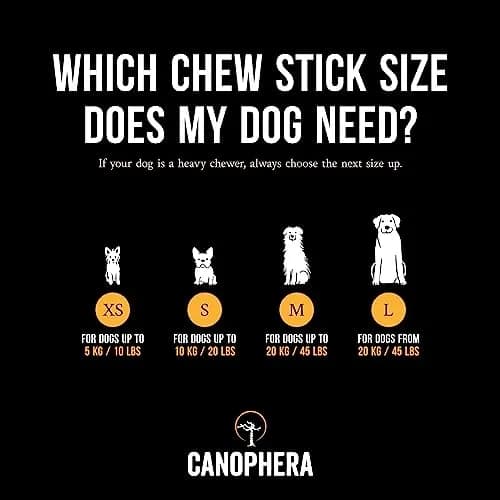 Canophera Coffee Wood Dog Chew Sticks for Regular Chewers - Size XS | Natural Stress Relief & Dental Care thumbnail 3