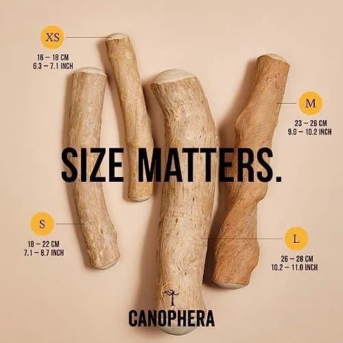 Canophera Coffee Wood Dog Chew Sticks for Regular Chewers - Size XS | Natural Stress Relief & Dental Care thumbnail 4