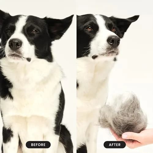 Tangle Teezer Large Pet Teezer De-Shedding Grooming Brush - Mint & Pink | Gentle, Effective Dog Grooming Tool thumbnail 5