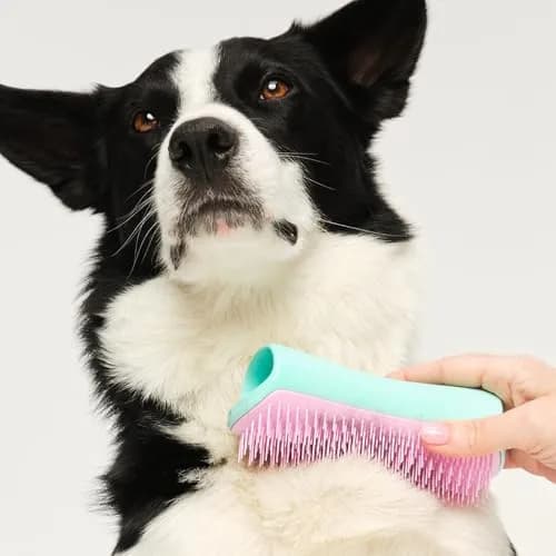 Tangle Teezer Large Pet Teezer De-Shedding Grooming Brush - Mint & Pink | Gentle, Effective Dog Grooming Tool thumbnail 3
