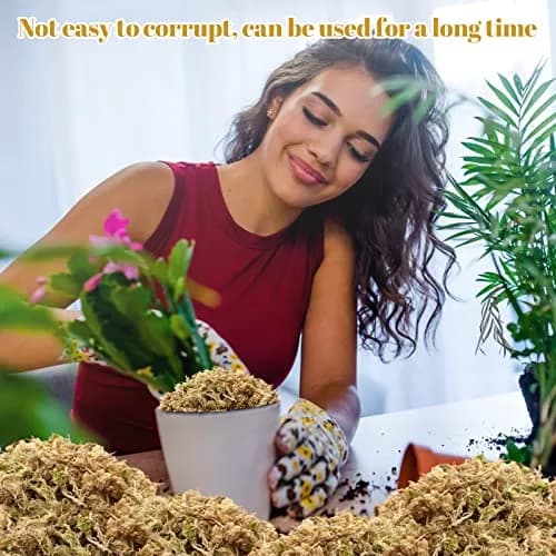 Legigo 2.2LB Sphagnum Moss for Plants | Natural Long Fibers Orchid Moss, 40QT thumbnail 6