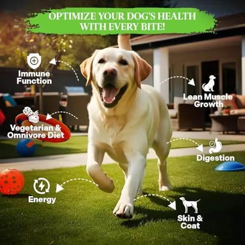 Healthy Dogma PetMix Dehydrated Dog Food 2 lbs | Natural, Preservative-Free, Vegetarian & Omnivorous Nutrition thumbnail 2