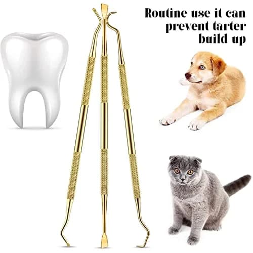 Hotop Dog Tooth Scaler Scraper Dental Tool Stainless Steel,Gold | Pet Dental Care for Tartar Removal thumbnail 3