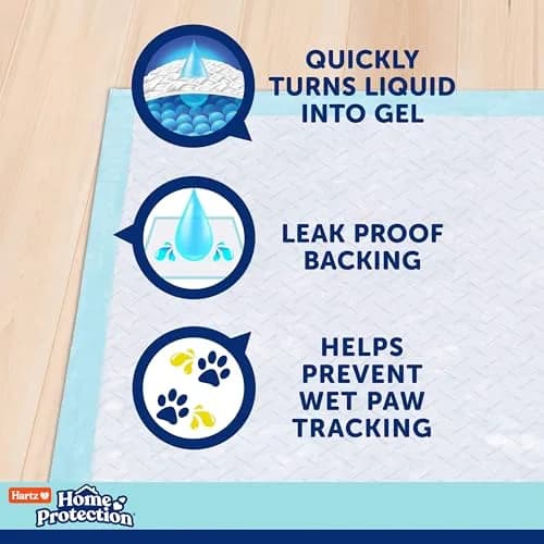 Hartz Dog Training Pads XXL 30 x 30 inches | Odor Eliminating, Leak-Proof, Super Absorbent (70-120c) thumbnail 5