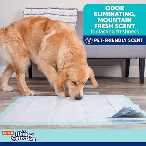 Hartz Dog Training Pads XXL 30 x 30 inches | Odor Eliminating, Leak-Proof, Super Absorbent (70-120c) thumbnail 6