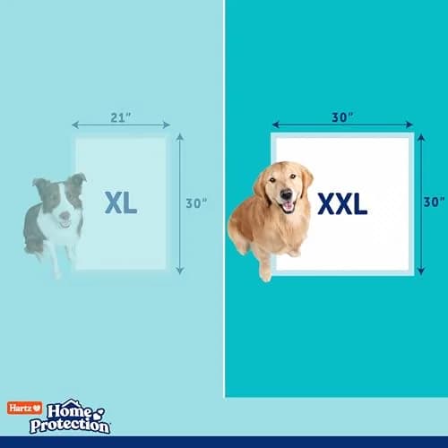 Hartz Dog Training Pads XXL 30 x 30 inches | Odor Eliminating, Leak-Proof, Super Absorbent (70-120c) thumbnail 7