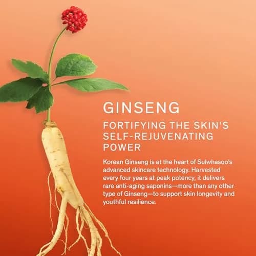Sulwhasoo Concentrated Ginseng Rejuvenating Cream Rich | Anti-Aging Korean Face Moisturizer | Firming & Deep Hydration | Ginseng Peptide Retinol Cream for Dry Mature Skin, 1.69 fl. oz. thumbnail 6