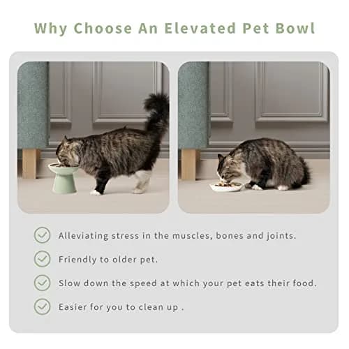 CEEFU 2-Pack Elevated Ceramic Cat Bowls Extra Wide for Food & Water | Whisker-Friendly, Stable & Stylish thumbnail 6