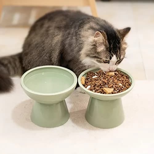 CEEFU 2-Pack Elevated Ceramic Cat Bowls Extra Wide for Food & Water | Whisker-Friendly, Stable & Stylish thumbnail 7