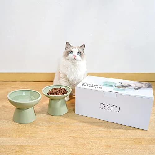 CEEFU 2-Pack Elevated Ceramic Cat Bowls Extra Wide for Food & Water | Whisker-Friendly, Stable & Stylish thumbnail 8