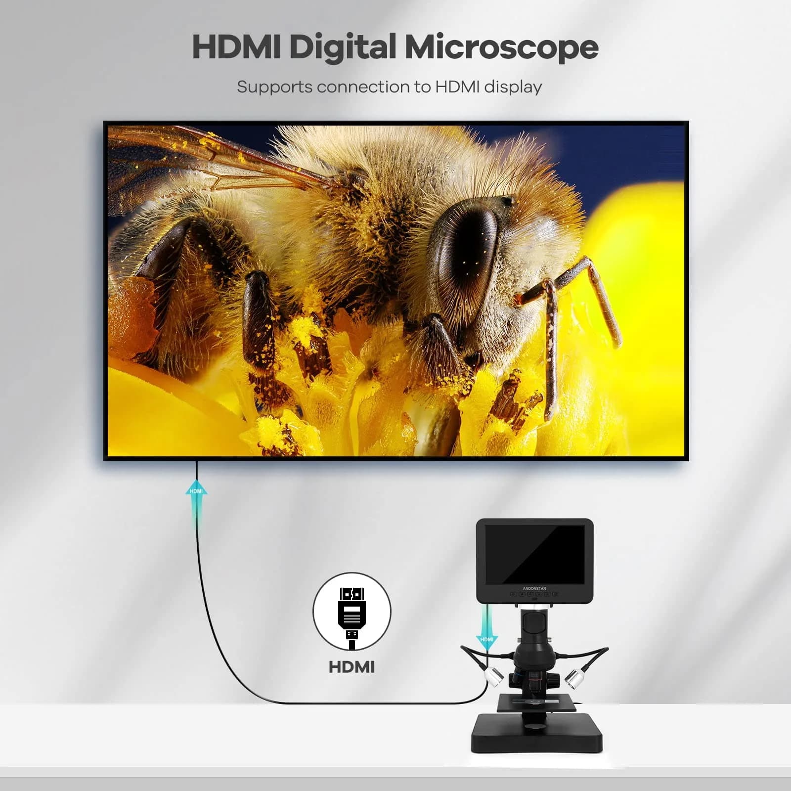 Andonstar AD246S-P HDMI Digital Microscope with 7'' Screen, 4000x 3 Lens | UHD 2160P Video Record, Coin & Biological Use - view 4