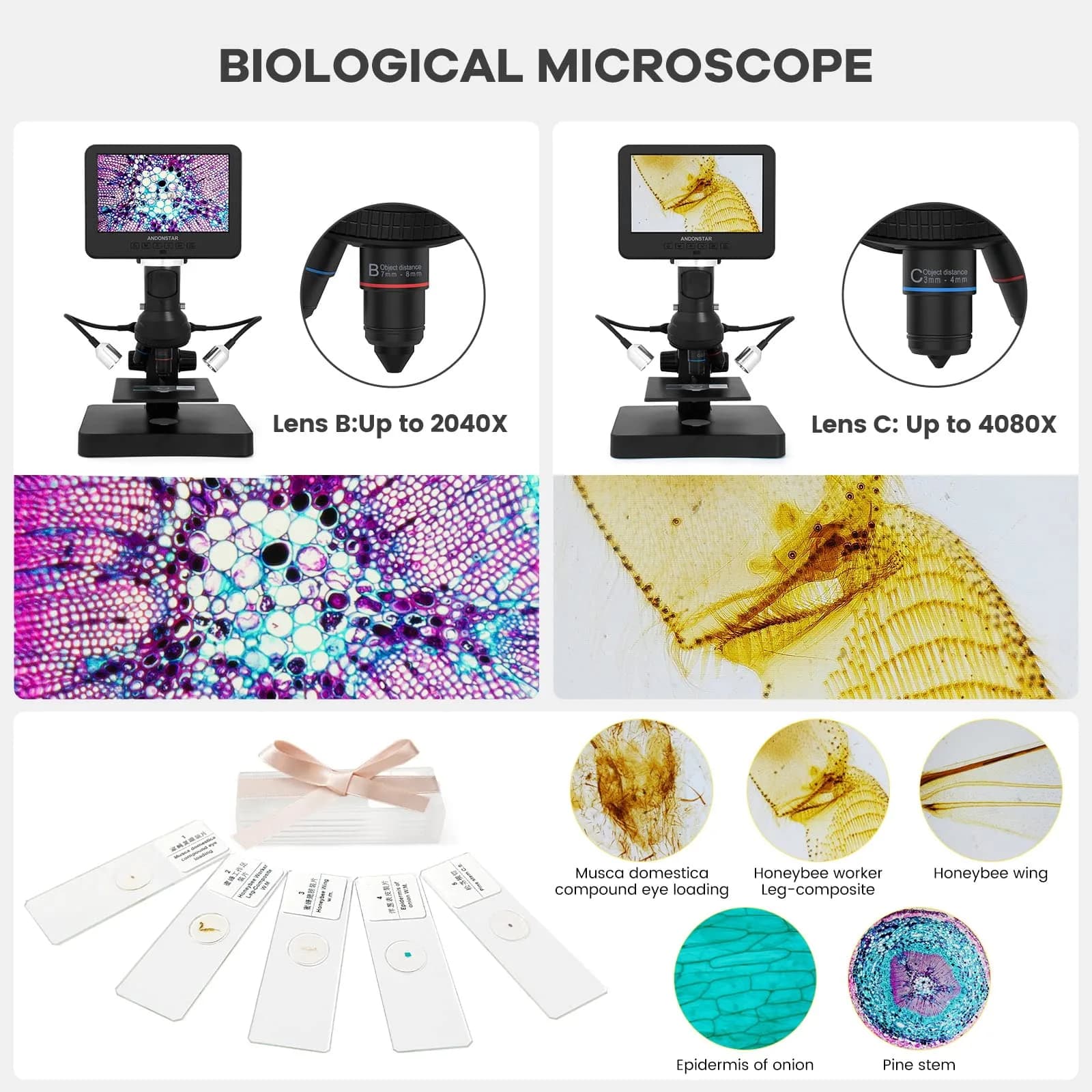 Andonstar AD246S-P HDMI Digital Microscope with 7'' Screen, 4000x 3 Lens | UHD 2160P Video Record, Coin & Biological Use - view 6