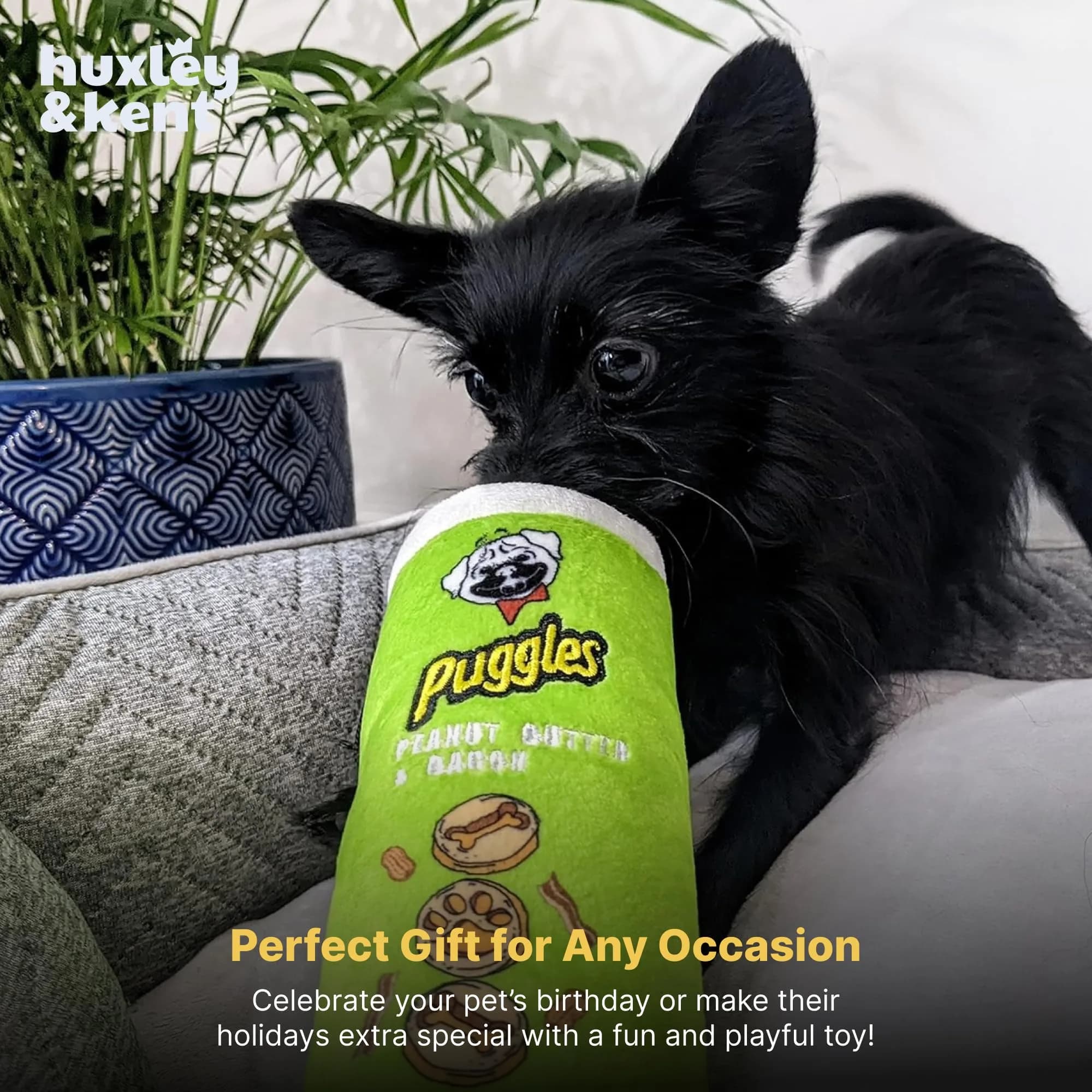 Huxley & Kent Power Plush Squeaky Dog Toy, Puggles Can, Small (6.5 x 2.5 x 2.5 inches / 16.5 x 6.4 x 6.4 cm) - view 8