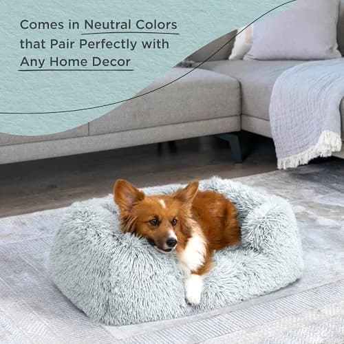 Best Friends by Sheri Lounge Shag Dog Bed, Faux Fur, Frost, 30" x 20" | Supportive & Washable Comfort thumbnail 6