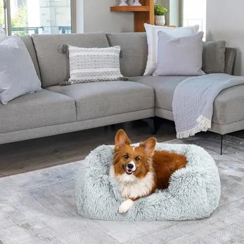 Best Friends by Sheri Lounge Shag Dog Bed, Faux Fur, Frost, 30" x 20" | Supportive & Washable Comfort thumbnail 7