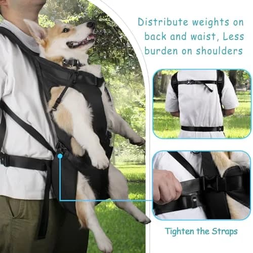 PetBonus Black XL Dog Carrier Backpack | Hands-Free Hiking Cycling Travel thumbnail 3