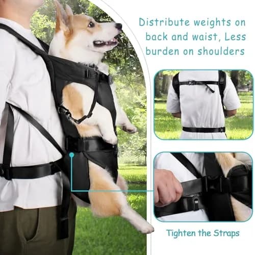 PetBonus Pet Front Dog Carrier Backpack, Legs Out Easy-Fit Puppy Chest Carrier for Small Dogs, Hands Free for Hiking, Cycling (Black, S) | 0.41 kg (0.9 lb) Carrier thumbnail 3