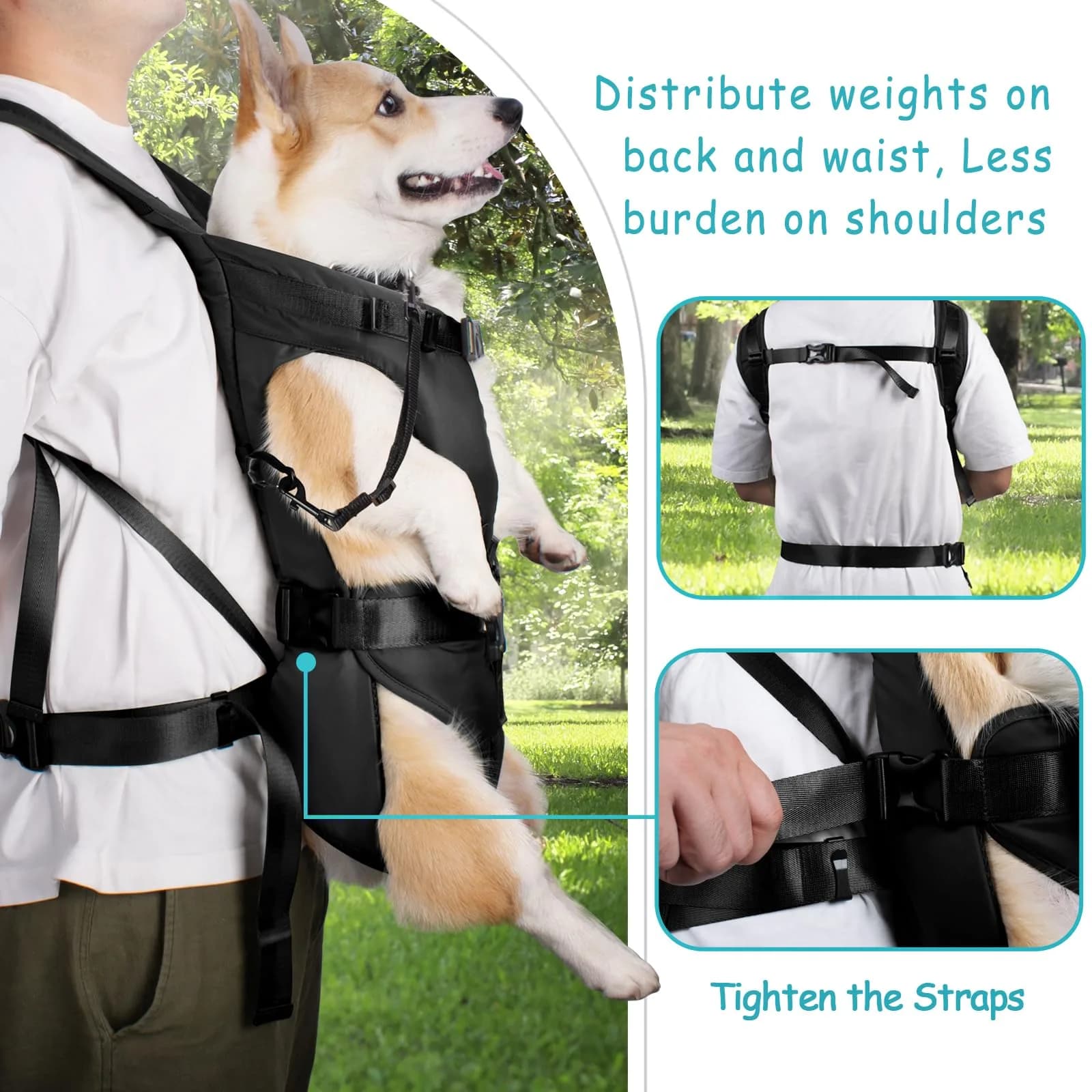 PetBonus Black XL Dog Carrier Backpack (14"L x 10.5"W x 3.9"H) for Hands-Free Hiking & Travel - view 3