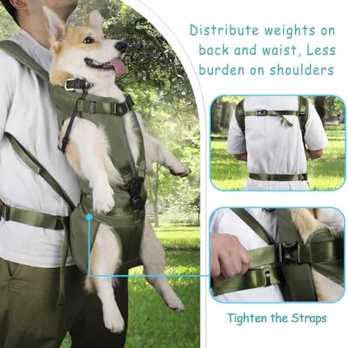 PetBonus Dog Front Carrier Backpack for Small & Medium Dogs | Breathable & Adjustable (14.8"L x 12.1"W x 3.9"H) thumbnail 3
