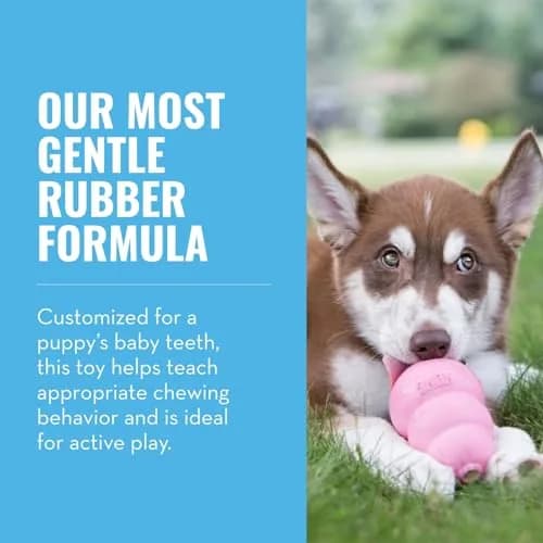 KONG Puppy, Natural Rubber Teething Chew Toy, for XS Puppies, Pink | Gentle, Durable & Interactive Puppy Toy thumbnail 2