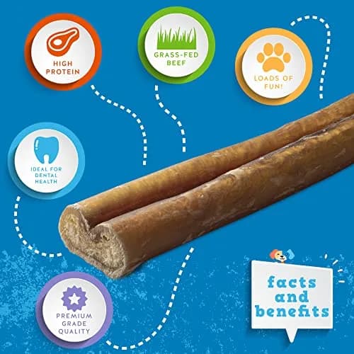 Jack&Pup 6 Inch Bully Sticks | Odor-Free Beef Dog Chews for Medium Dogs thumbnail 3