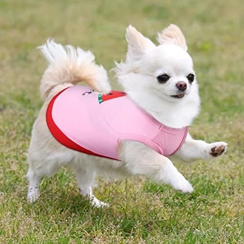 Reginary Dog Shirts Small Size | Cute Pattern, 8 Pack, Soft Cotton, Valentine Design thumbnail 3