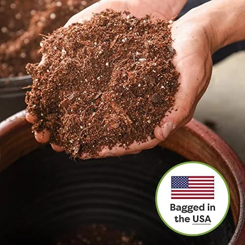 Perfect Plants Snake Plant Soil, 8 qt | Fast Drainage & All-Natural Materials thumbnail 6