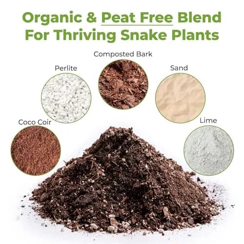 Perfect Plants Snake Plant Soil, 8 qt | Fast Drainage & All-Natural Materials thumbnail 2