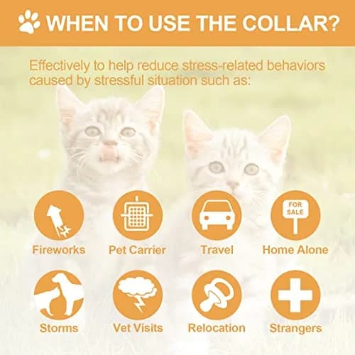 Weewooday 4-Pack Orange Calming Cat Collar with Pendants 38cm (15 Inches) | Reduces Anxiety & Aggression thumbnail 4
