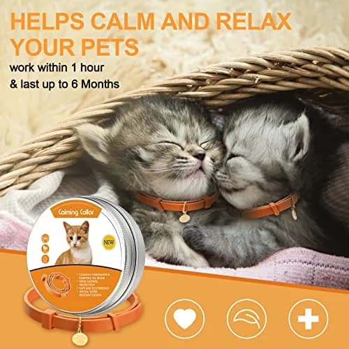 Weewooday 4-Pack Orange Calming Cat Collar with Pendants 38cm (15 Inches) | Reduces Anxiety & Aggression thumbnail 2