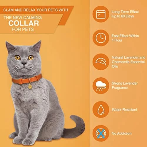 Weewooday 4-Pack Orange Calming Cat Collar with Pendants 38cm (15 Inches) | Reduces Anxiety & Aggression thumbnail 3