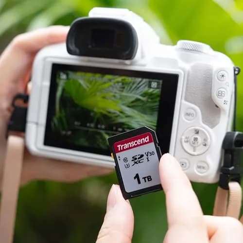 Transcend 1TB SDXC SD Card UHS-I U3 V30 4K UHD & Full HD | High-Speed Memory Card for DSLR & Trail Cameras thumbnail 5