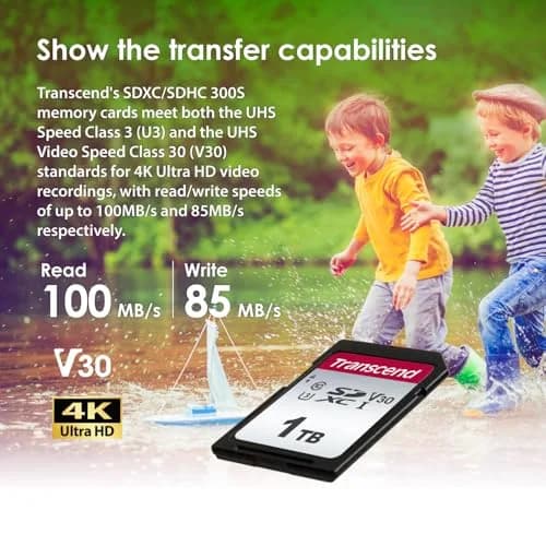 Transcend 1TB SDXC SD Card UHS-I U3 V30 4K UHD & Full HD | High-Speed Memory Card for DSLR & Trail Cameras thumbnail 2
