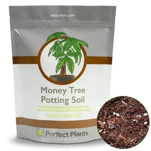 Perfect Plants Money Tree Potting Soil, 4 qt | Supports Healthy Roots & Lush Leaves thumbnail 1