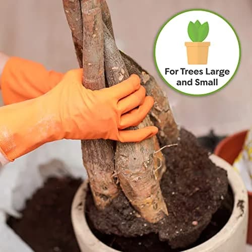 Perfect Plants Money Tree Potting Soil, 4 qt | Supports Healthy Roots & Lush Leaves thumbnail 4