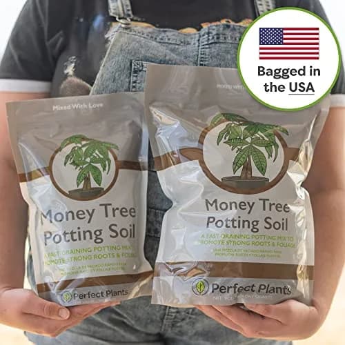 Perfect Plants Money Tree Potting Soil, 4 qt | Supports Healthy Roots & Lush Leaves thumbnail 6