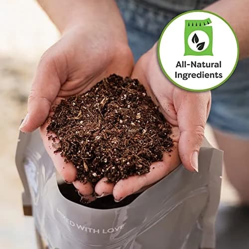 Perfect Plants Money Tree Potting Soil, 4 qt | Supports Healthy Roots & Lush Leaves thumbnail 7