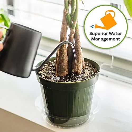 Perfect Plants Money Tree Potting Soil, 4 qt | Supports Healthy Roots & Lush Leaves thumbnail 3