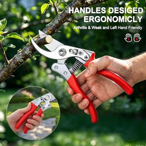 Kynup 2-Pack Bypass Pruning Shears 21.8 cm (8.6 inches) | Heavy Duty Garden Clippers for Plants & Trees thumbnail 5