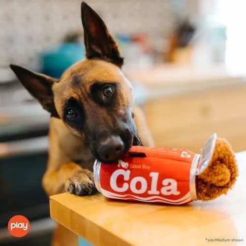 P.L.A.Y. Snack Attack Good Boy Cola Plush Dog Toy - Medium | Durable Squeaker Chew Toy for Medium & Large Dogs thumbnail 6