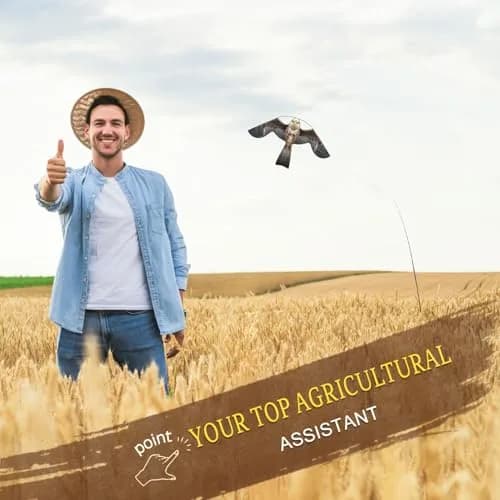 Flerigh Bird Scarer Kite with 13ft Pole | Effective Bird Deterrent for Gardens & Farms thumbnail 7