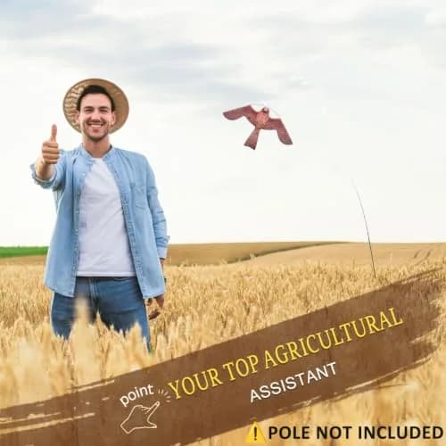 Flerigh Bird Scarer Kite Without Pole Bird Hawk Flying Kite-Style A | Realistic Bird Deterrent for Gardens & Crops thumbnail 6