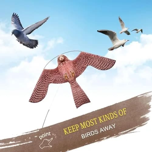 Flerigh Bird Scarer Kite Without Pole Bird Hawk Flying Kite-Style A | Realistic Bird Deterrent for Gardens & Crops thumbnail 3