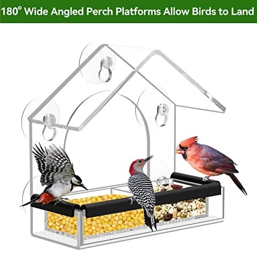 DY-SKTY Clear Window Bird Feeder with 5 Strong Suction Cups | Durable Acrylic Bird Watching Gift thumbnail 5