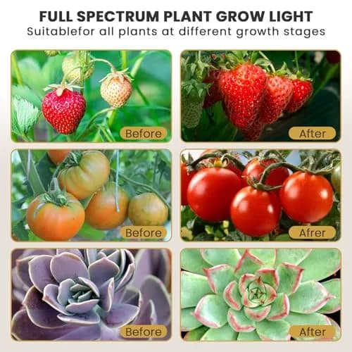 bseah Full Spectrum LED Grow Light 2-Tube Clip-On with Timer | 10-Level Dimmable for Indoor Plants thumbnail 5