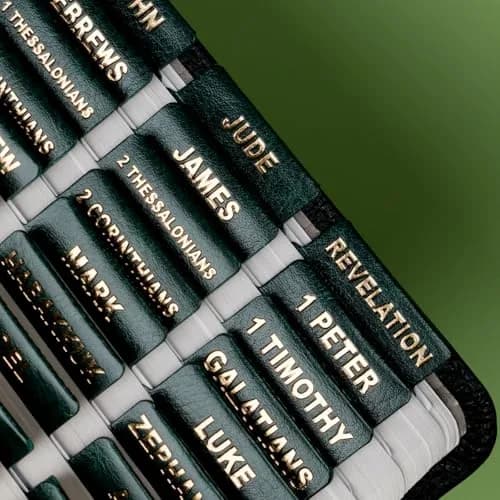 UPAFEXXI Leather Bible Tabs for Women and Men, Gold Foil Lettering | 80 Pack, Durable Leather, Complete Scripture Navigation thumbnail 3